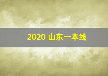 2020 山东一本线